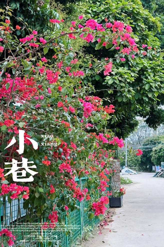 松湖春韵，巾帼绽风华 —— 三八活力团建行