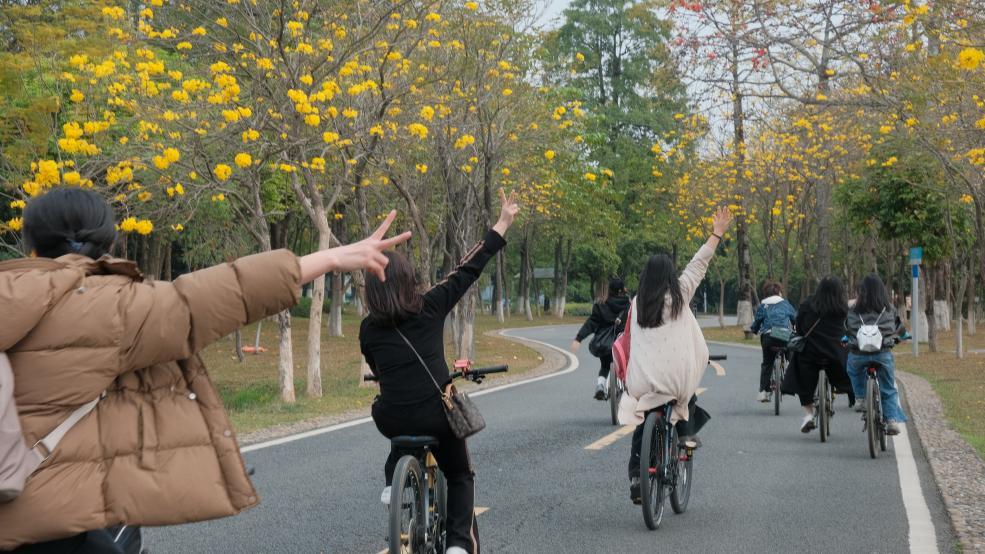 松湖春韵，巾帼绽风华 —— 三八活力团建行