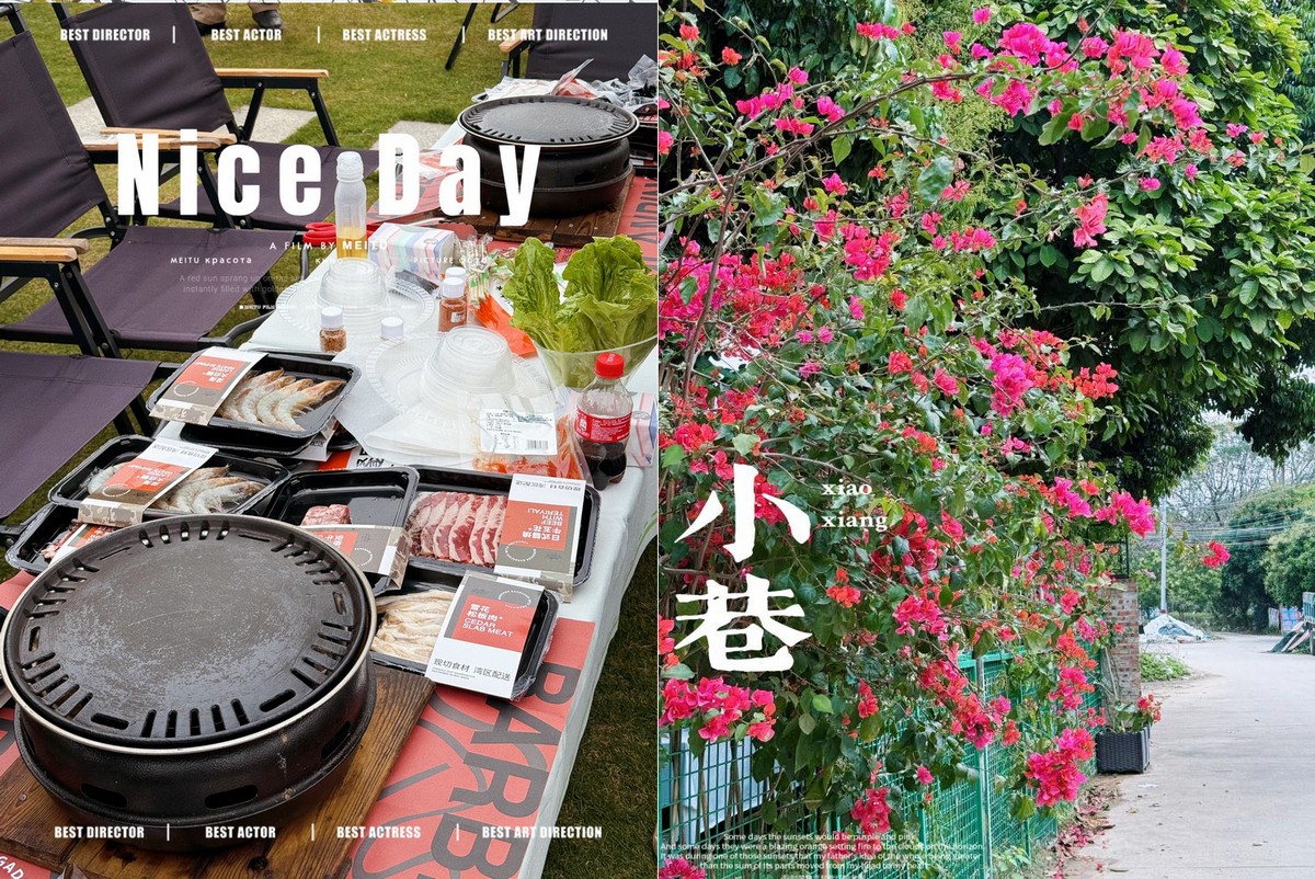 松湖春韵，巾帼绽风华 —— 三八活力团建行